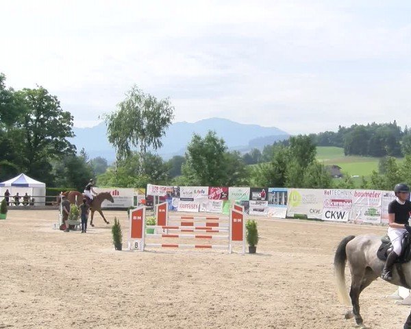 Reitturnier Ruswil 2024