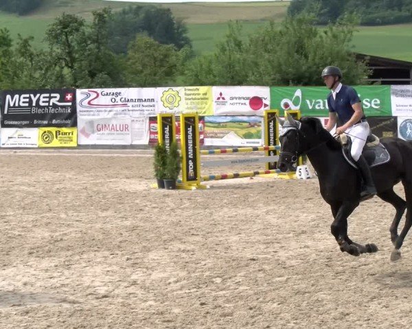 Reitturnier Ruswil 2024