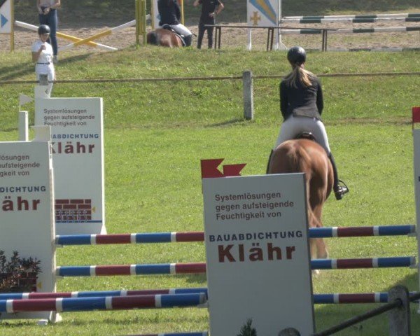 Reitturnier Sonnewalde 2024