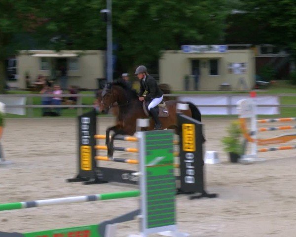 Reitturnier Barlo-Bocholt 2024