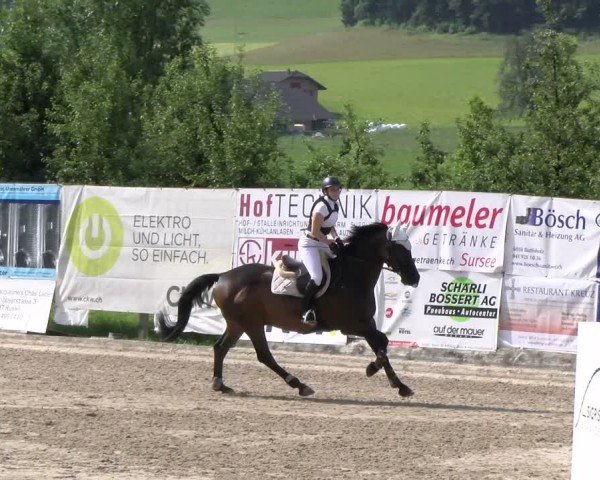 Reitturnier Ruswil 2024