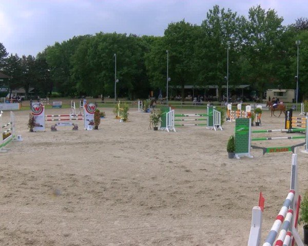 Reitturnier Barlo-Bocholt 2024