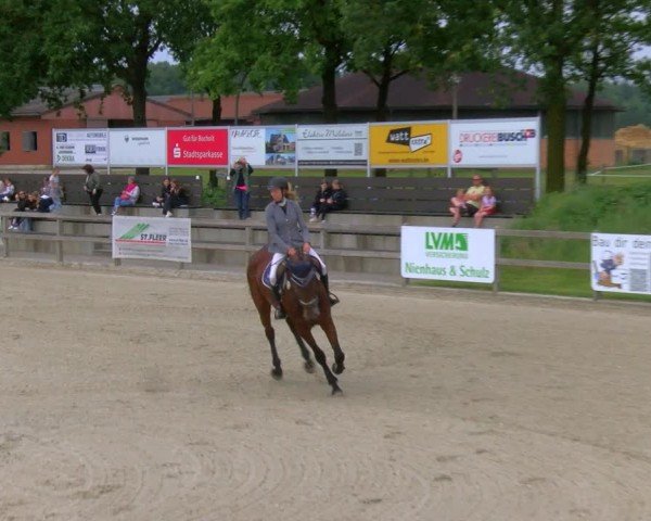 Reitturnier Barlo-Bocholt 2024