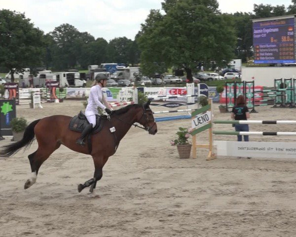 Reitturnier Brockhöfe 2024
