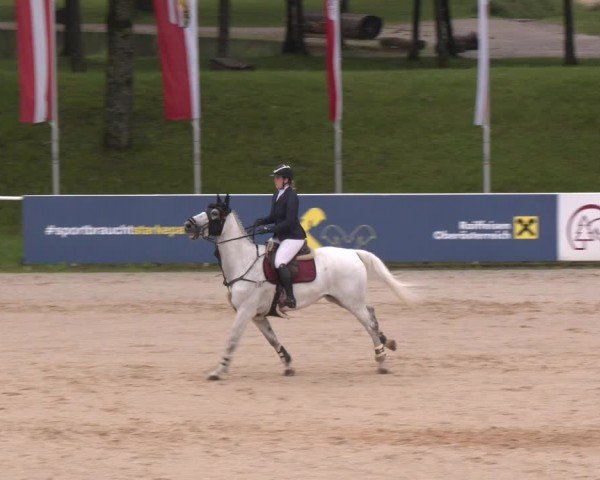 Reitturnier Stadl-Paura 2024