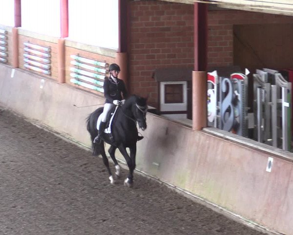 Reitturnier Herzebrock-Rheda 2021