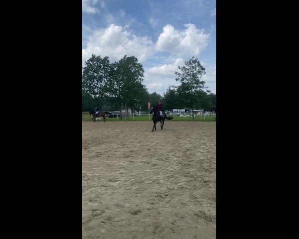 Video von Miss Dynamite