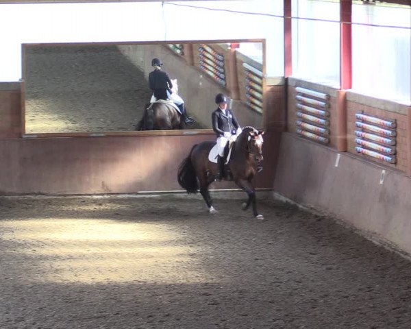 Reitturnier Herzebrock-Rheda 2021