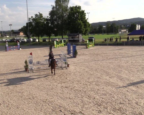 Reitturnier Fehraltorf 2024