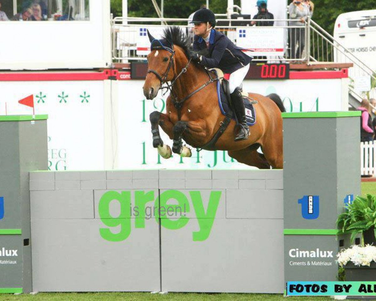 jumper Self Made (Swedish Warmblood, 1999, from So what)