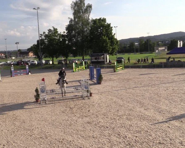Reitturnier Fehraltorf 2024