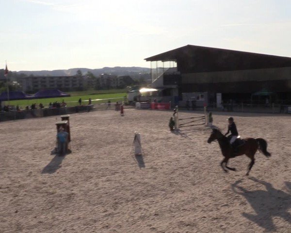 Reitturnier Fehraltorf 2024