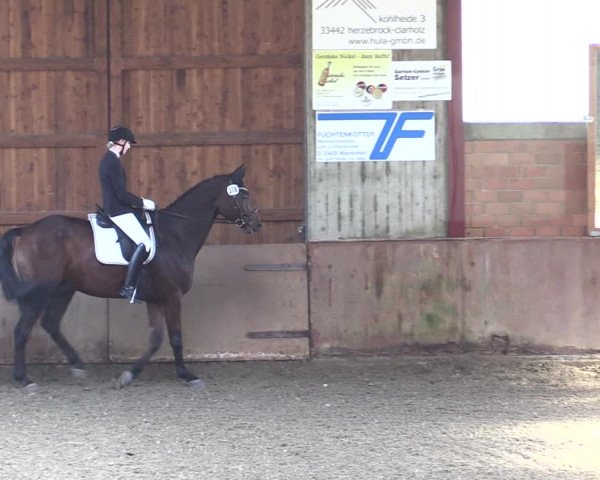 Reitturnier Herzebrock-Rheda 2021