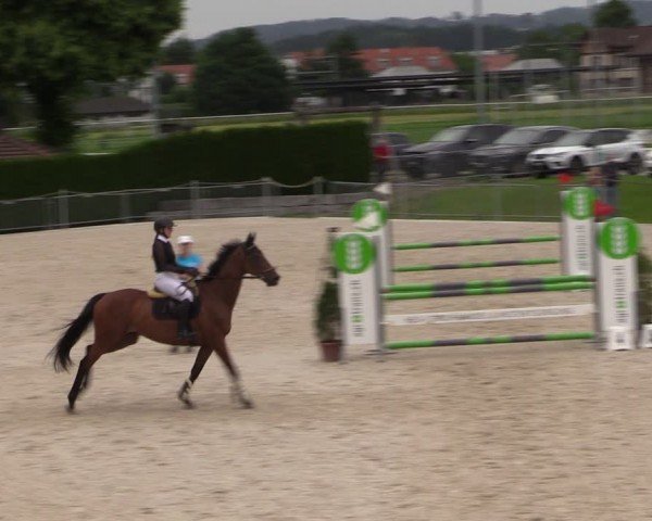 Reitturnier Fehraltorf 2024
