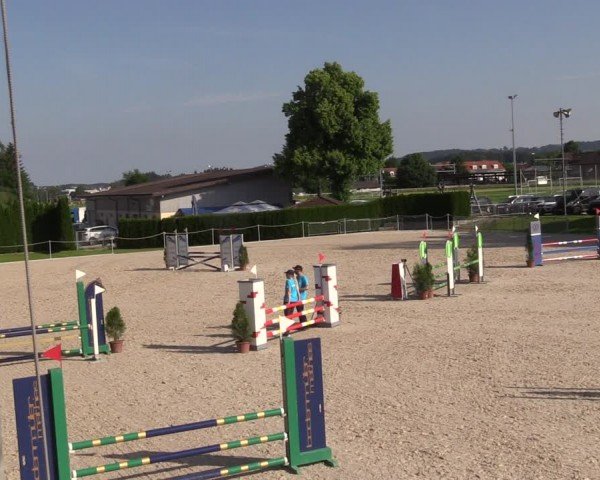 Reitturnier Fehraltorf 2024
