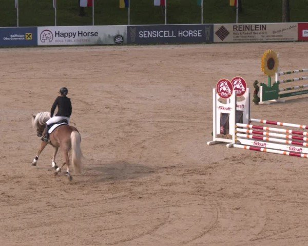 Reitturnier Stadl-Paura 2024