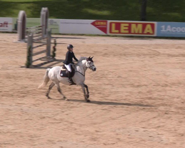 Reitturnier Stadl-Paura 2024