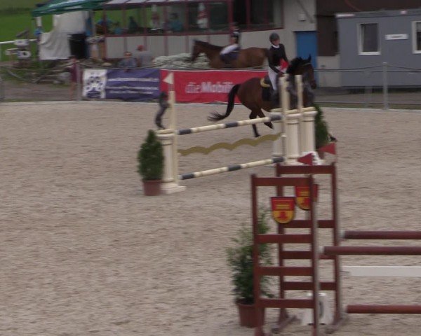 Reitturnier Fehraltorf 2024