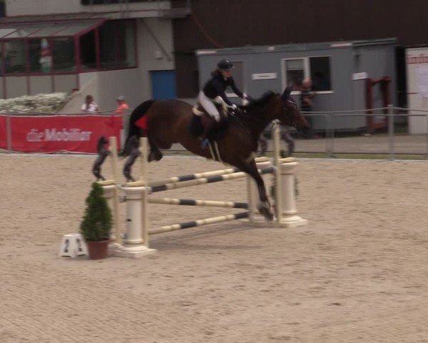 Reitturnier Fehraltorf 2024