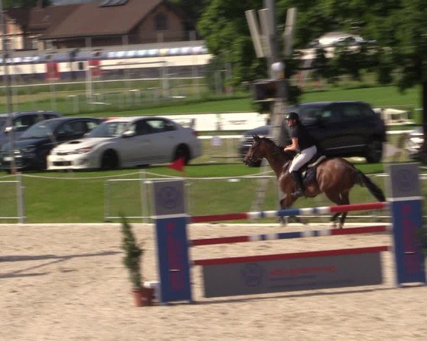 Reitturnier Fehraltorf 2024