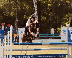 jumper Nora 423 (Pony without race description, 2008, from Poldy)