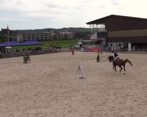 Reitturnier Fehraltorf 2024
