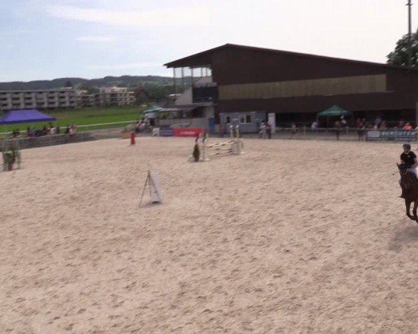 Reitturnier Fehraltorf 2024