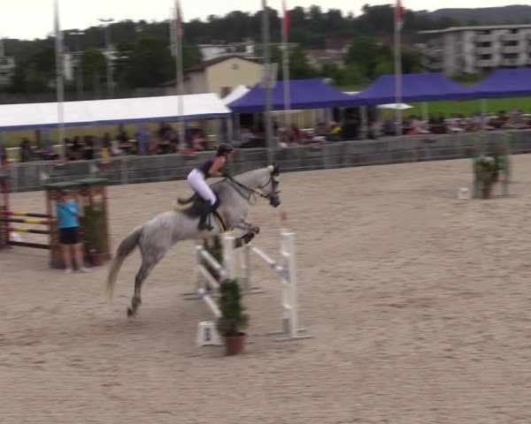 Reitturnier Fehraltorf 2024