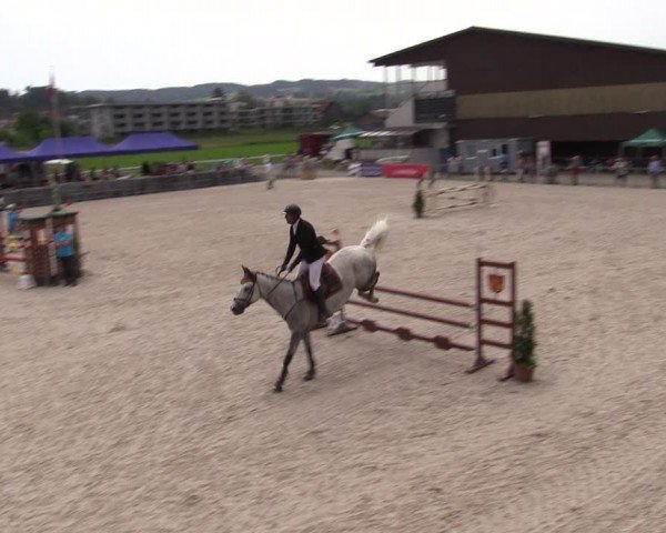 Reitturnier Fehraltorf 2024