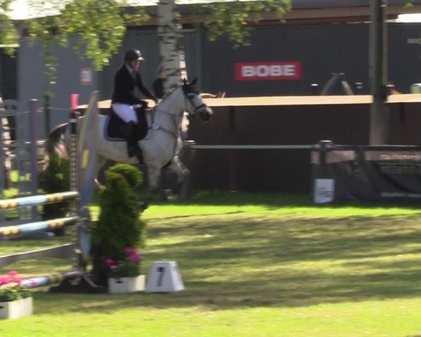 Reitturnier Hille 2024
