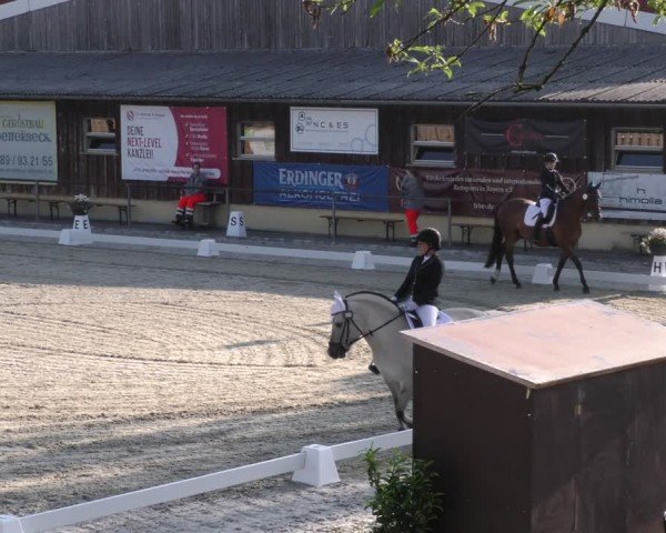 Reitturnier Taufkirchen-Vils/Obb. 2024