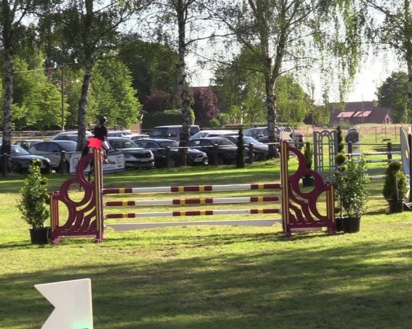 Reitturnier Hille 2024