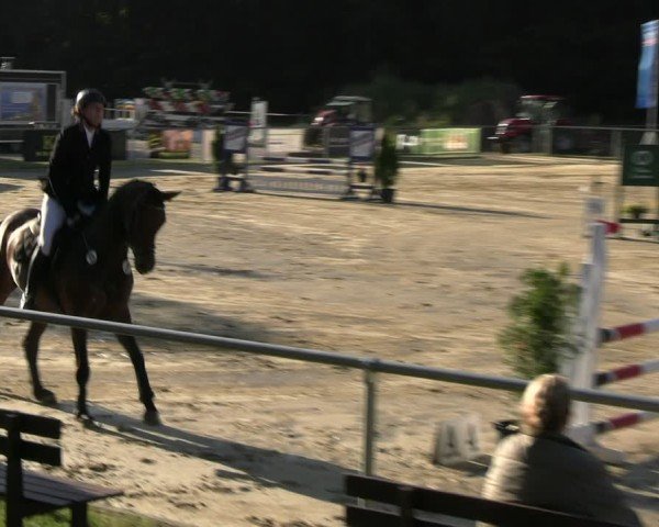 Reitturnier Oelde 2024