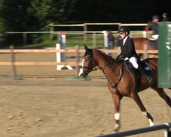 Reitturnier Oelde 2024