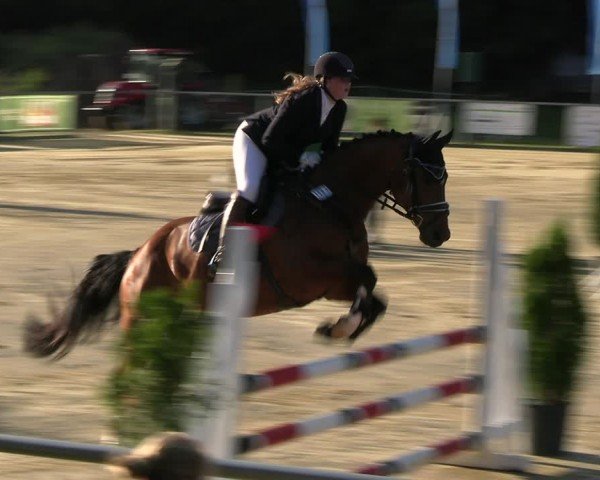 Reitturnier Oelde 2024