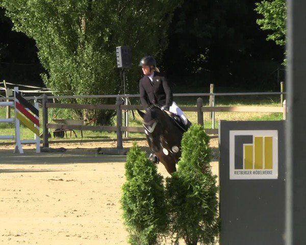 Reitturnier Oelde 2024