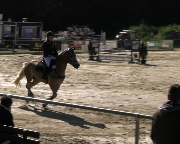 Reitturnier Oelde 2024