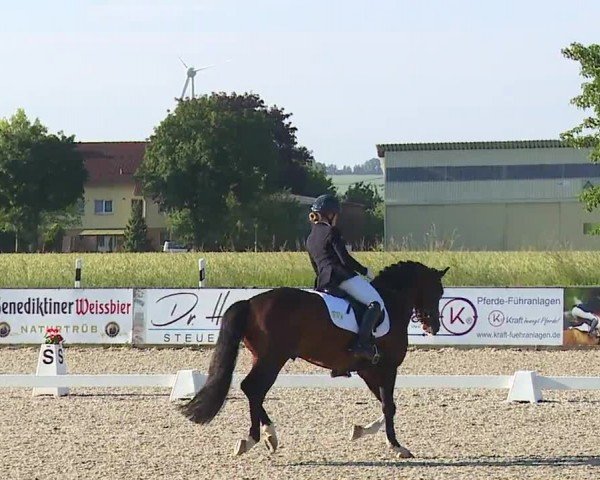 Reitturnier Rot am See- Musdorf 2024