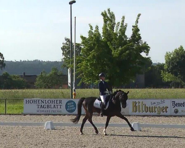 Reitturnier Rot am See- Musdorf 2024