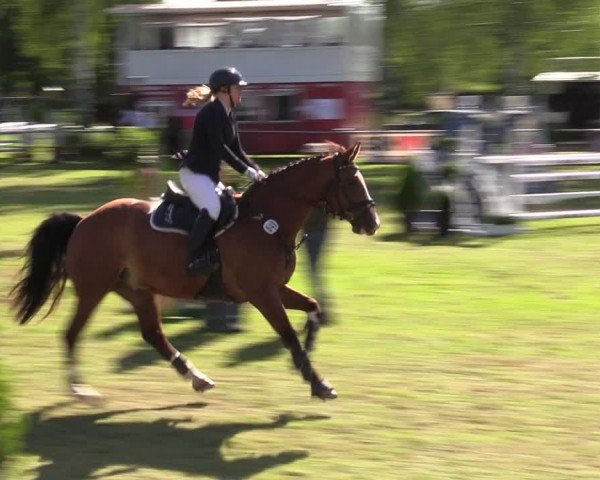 Reitturnier Hille 2024