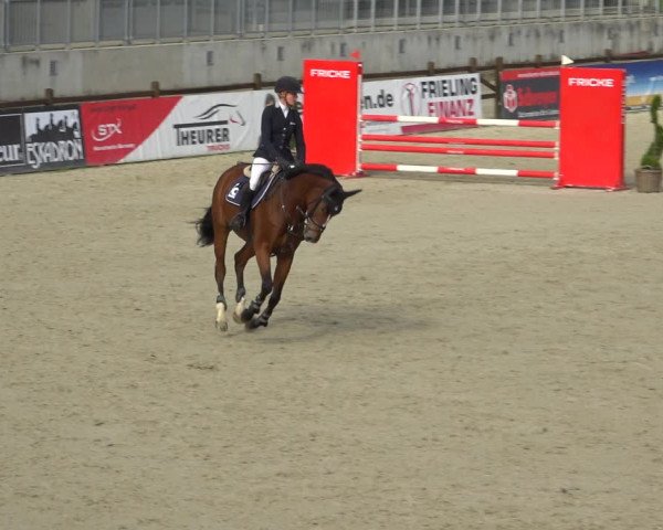 Reitturnier Westergellersen 2021