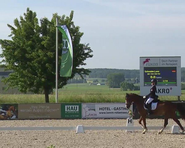 Reitturnier Rot am See- Musdorf 2024
