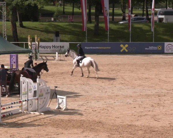Reitturnier Stadl-Paura 2024