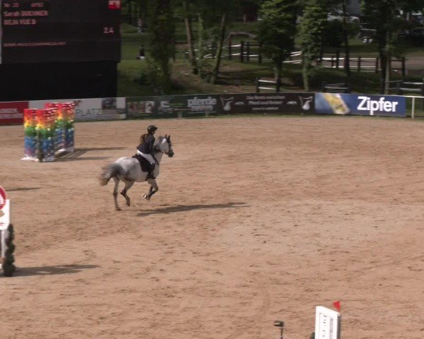 Reitturnier Stadl-Paura 2024