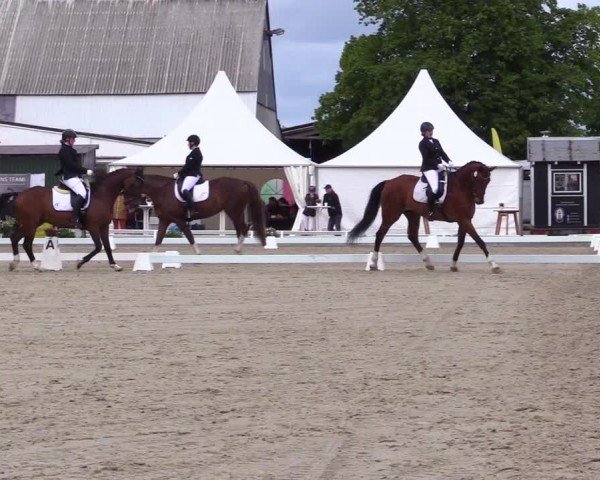 Reitturnier Sörup 2024