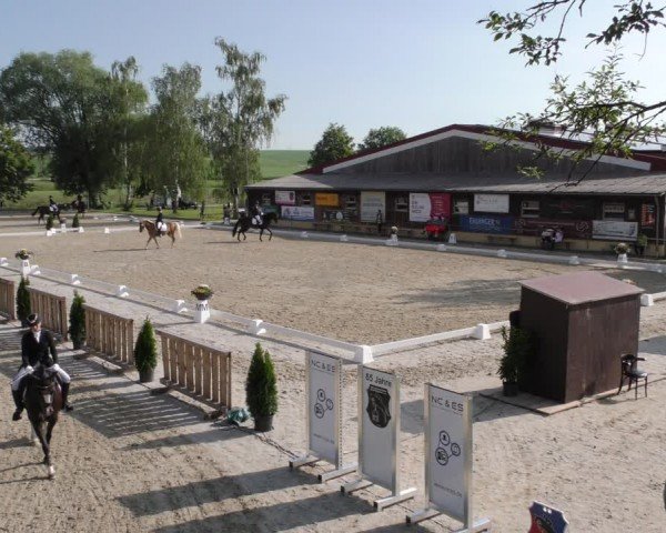 Reitturnier Taufkirchen-Vils/Obb. 2024