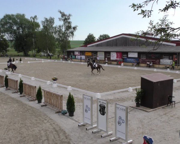 Reitturnier Taufkirchen-Vils/Obb. 2024