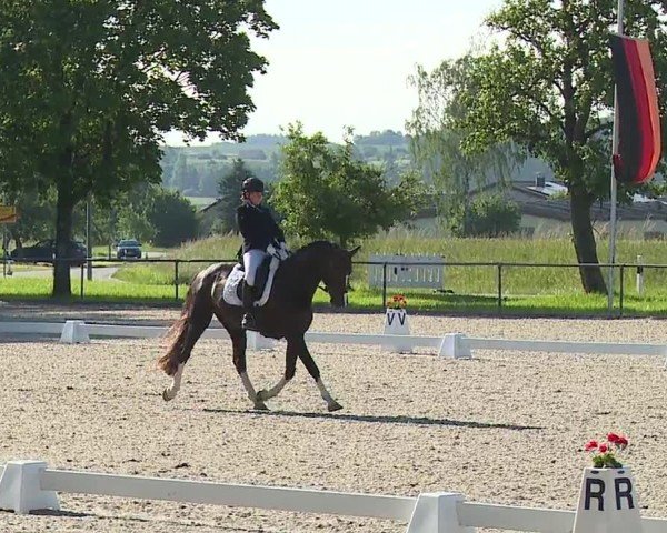 Reitturnier Rot am See- Musdorf 2024