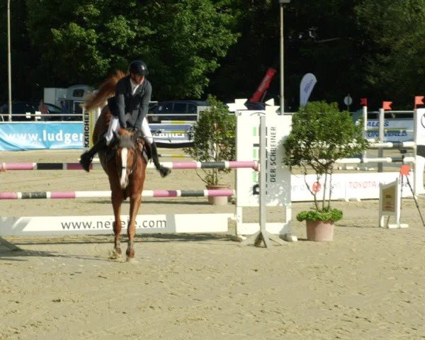 Reitturnier Winnenden 2024