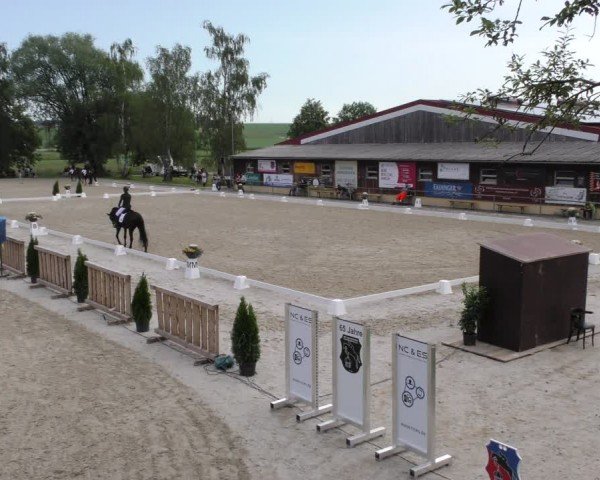 Reitturnier Taufkirchen-Vils/Obb. 2024